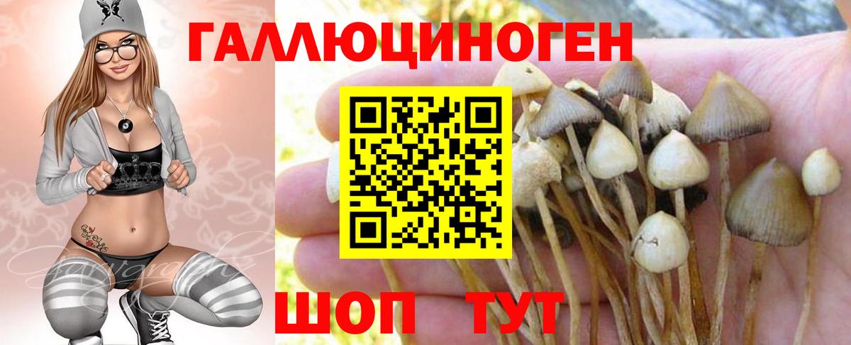 Семёнов  Псилоцибиновые грибы ЛСД  Псилоцибиновые грибы ЛСД  Вход с VPN 